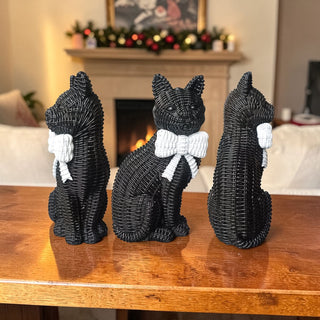 Black Cat PRE-ORDER