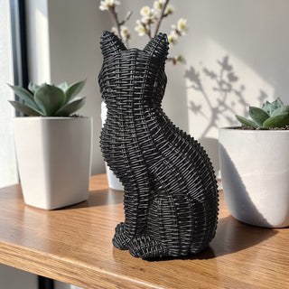 Black Cat PRE-ORDER