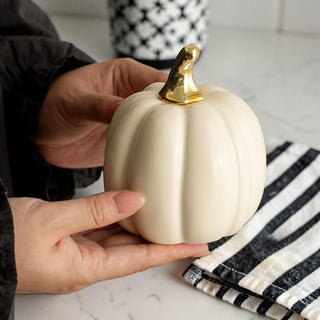 Pastel Pumpkin | PRE-ORDER