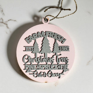pink shaterproof ornaments
pink vintage ornaments
pink christmas decoration gifts
light pink christmas decor
pink small ornaments
pink velvet ornaments