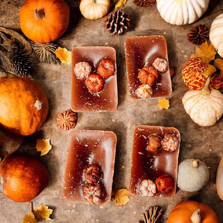 Wholesale Cozy fall gift for wax warmer lovers
Bakery scented wax melt gift for her
Pumpkin fragrance gift for autumn lovers
Fall home fragrance gift basket idea
Pumpkin pecan scented gift for new homeowners
Cozy season wax melt gift idea
Pumpkin lover fall fragrance gift
Sweet bakery scented gift for wax melt lovers
Autumn pumpkin home fragrance gift
Pumpkin pecan waffles fall self care gift
best pumpkin pecan waffles scented wax melts for fall
pumpkin pecan waffles wax melts for electric wax warmer