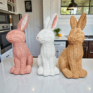 home goods easter decor 2026
easter living room decor ideas
bunny bathroom decor
easter bunny home decor
easter decor living room
bunny head decor