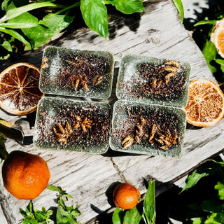 fresh wax melts that are not bakery scents
fresh wax melts that are not overly sweet
wax melts that make your house smell fresh
fruity citrus scents for a wax warmer
best wax melts for spring and summer
wax melts with orange and coconut scents
wax melts with citrus and tropical fruit
fresh garden inspired wax melts
wax melts that smell bright and refreshing
fresh fruit scented wax melts for summer
wax melts for people who like citrus scents
fresh home fragrance for warm weather