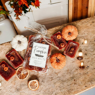Best pumpkin wax melts for fall
Pumpkin fragrance melts for wax burner
Pumpkin wax cubes for wax warmer
Large pumpkin scented wax melts
Oversized pumpkin wax melts
XL fall wax melts with pumpkin scent
Strong scented pumpkin wax melts
Artisan pumpkin wax melts
Handcrafted pumpkin buttercream wax melts
Premium pumpkin scented wax melts
Boutique fall home fragrance wax melts
Pumpkin wax melts with decorative mini pumpkins
Botanical pumpkin wax melts with fall spices
Orange pumpkin wax melts with spice topping