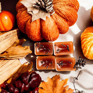 Fall scented wax melts for cozy home
Best fall wax melts for home
Cozy autumn scented wax melts
Autumn home fragrance wax melts
Fall fragrance for wax warmer
Cozy fall wax warmer scents
Warm fall fragrance soy wax melts
Fall spice home fragrance
Autumn spice home fragrance
Cozy fall home scent
Warm autumn wax melts
Fall farmhouse wax melts
Farmhouse fall home fragrance
Rustic fall scented wax melts
Fall wax melts for farmhouse home
Cozy cottage fall wax melts
Autumn farmhouse home fragrance