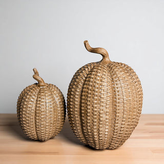 Cute Fall Decor for home, trending autumn decorations
Resin pumpkin set
Transitional fall decor
Natural look pumpkins
