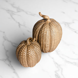 curated resin pumpkin set rattan basketweave style fall decor 3 sizes autumn centerpiece wicker look neutral
boutique autumn decor resin pumpkins rattan basketweave style fall centerpiece 3 sizes wicker texture neutral