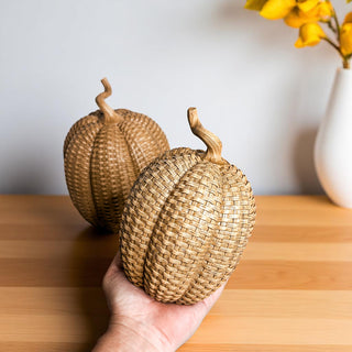 indoor outdoor resin pumpkins rattan basketweave style fall decor 3 sizes neutral autumn centerpiece wicker look
durable resin pumpkins rattan basketweave texture fall decor 3 sizes autumn table centerpiece wicker style neutral