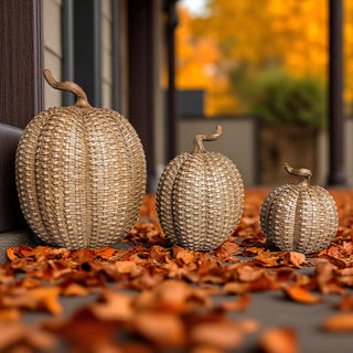 natural finish resin pumpkins rattan basketweave style 3 sizes fall decor neutral autumn centerpiece wicker texture
uxury resin pumpkin set rattan basketweave style fall decor neutral autumn centerpiece 3 sizes wicker texture