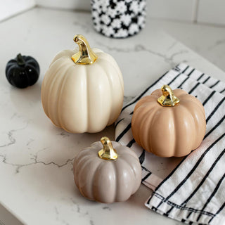 fall decorating pumpkins reusable ceramic set
modern fall decor pumpkins home styling
autumn decor pumpkin set elegant home
fall decor gift pumpkin set for home
autumn housewarming gift neutral pumpkin decor
gift idea fall home decor ceramic pumpkins
thanksgiving decor gift pumpkin set neutral tones