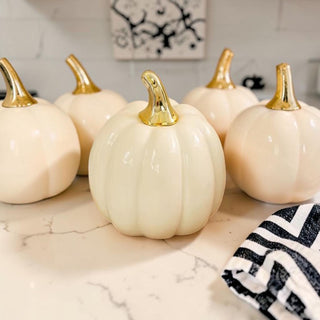 minimalist ceramic pumpkin decor set for autumn home
neutral fall pumpkin decorations reusable ceramic set
neutral fall decor
modern pumpkin decor wholesalers
minimal halloween decor in bulk
Wholesale ceramic pumpkin set