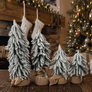 Snow Covered Trees PRE-ORDER