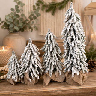 Snow Covered Trees