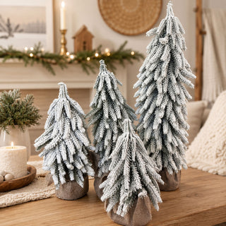 Snow Covered Trees