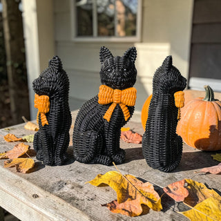 Black Cat PRE-ORDER