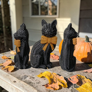 Black Cat PRE-ORDER