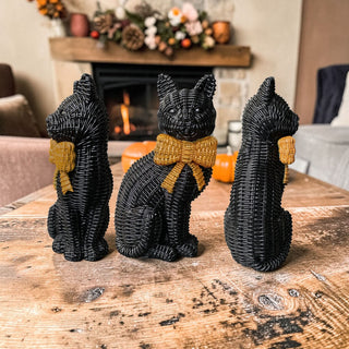 Black Cat PRE-ORDER