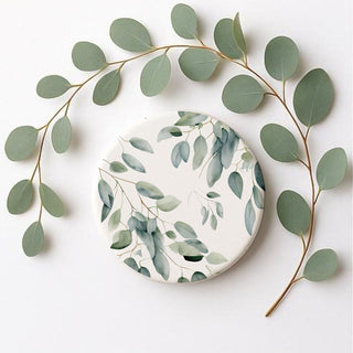 Eucalyptus PRE-ORDER