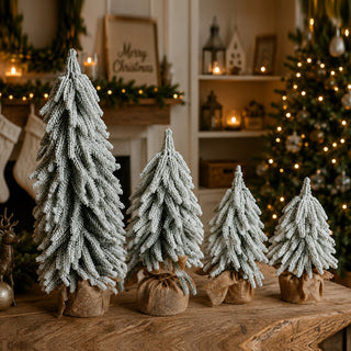 Snow Covered Trees PRE-ORDER