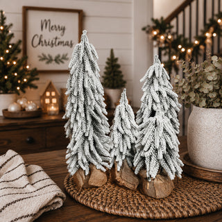 Snow Covered Trees PRE-ORDER