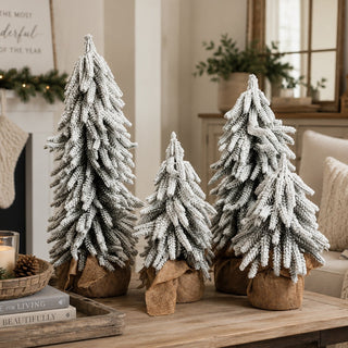 Snow Covered Trees PRE-ORDER