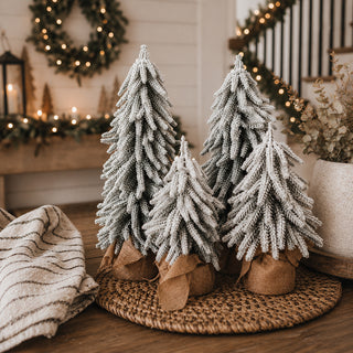 Snow Covered Trees PRE-ORDER