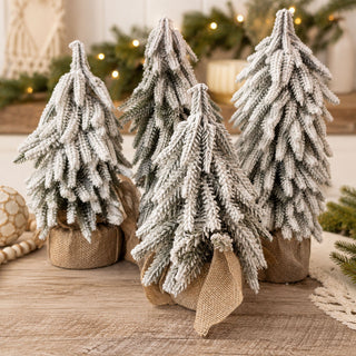 Snow Covered Trees