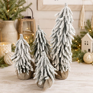 Snow Covered Trees