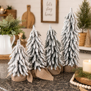 Snow Covered Trees