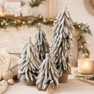Snow Covered Trees