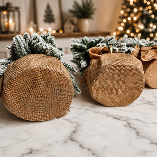 Snow Covered Trees PRE-ORDER