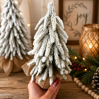 Snow Covered Trees
