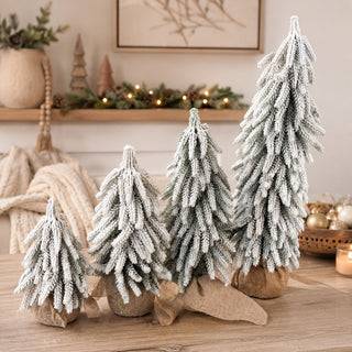 Snow Covered Trees