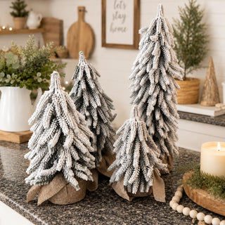 Snow Covered Trees