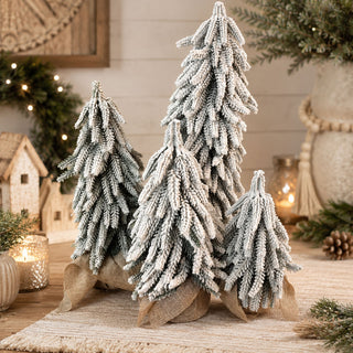Snow Covered Trees