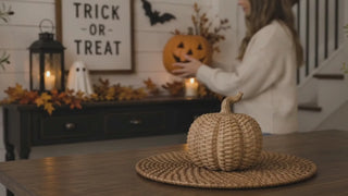 Resin rattan pumpkin decor set for fall and Halloween
Luxury fall pumpkin decor for indoor and outdoor styling
Rattan style resin pumpkins for autumn home decor
Indoor outdoor pumpkin decor set with woven rattan look
Fall tabletop pumpkin decorations with luxury rattan texture
Halloween pumpkin decor with rustic woven design