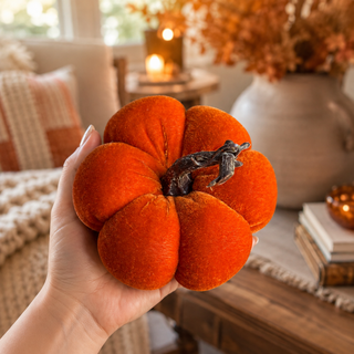 Pumpkin Sample Sale