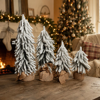 Snow Covered Trees PRE-ORDER