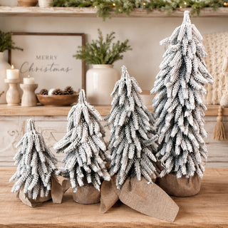 Snow Covered Trees