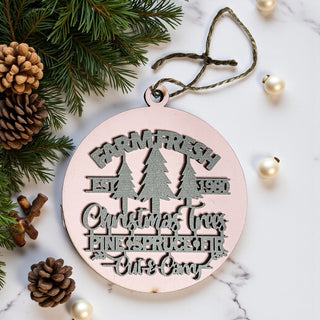 pink shaterproof ornaments
pink vintage ornaments
pink christmas decoration gifts
light pink christmas decor