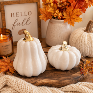 Wholesale white pumpkin styling ideas for modern home decor
elegant entryway decor white pumpkins fall styling
white pumpkins styled on mantel neutral fall decor
modern living room fall decor white pumpkin accents
white ceramic pumpkins styled in open concept home
neutral decor styling white pumpkins for autumn