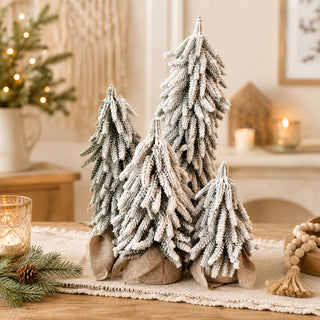 Snow Covered Trees