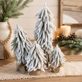 Snow Covered Trees