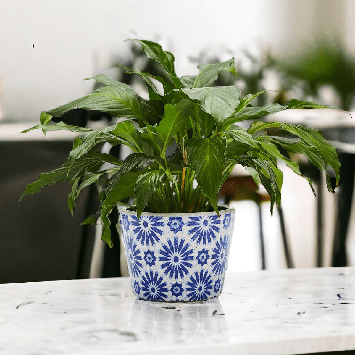 blue and white pots for indoor plants Terracotta Pot Planters on Sale Handmade, Terracotta Painted Vase Sets – GIA ROMA WHOLESALE