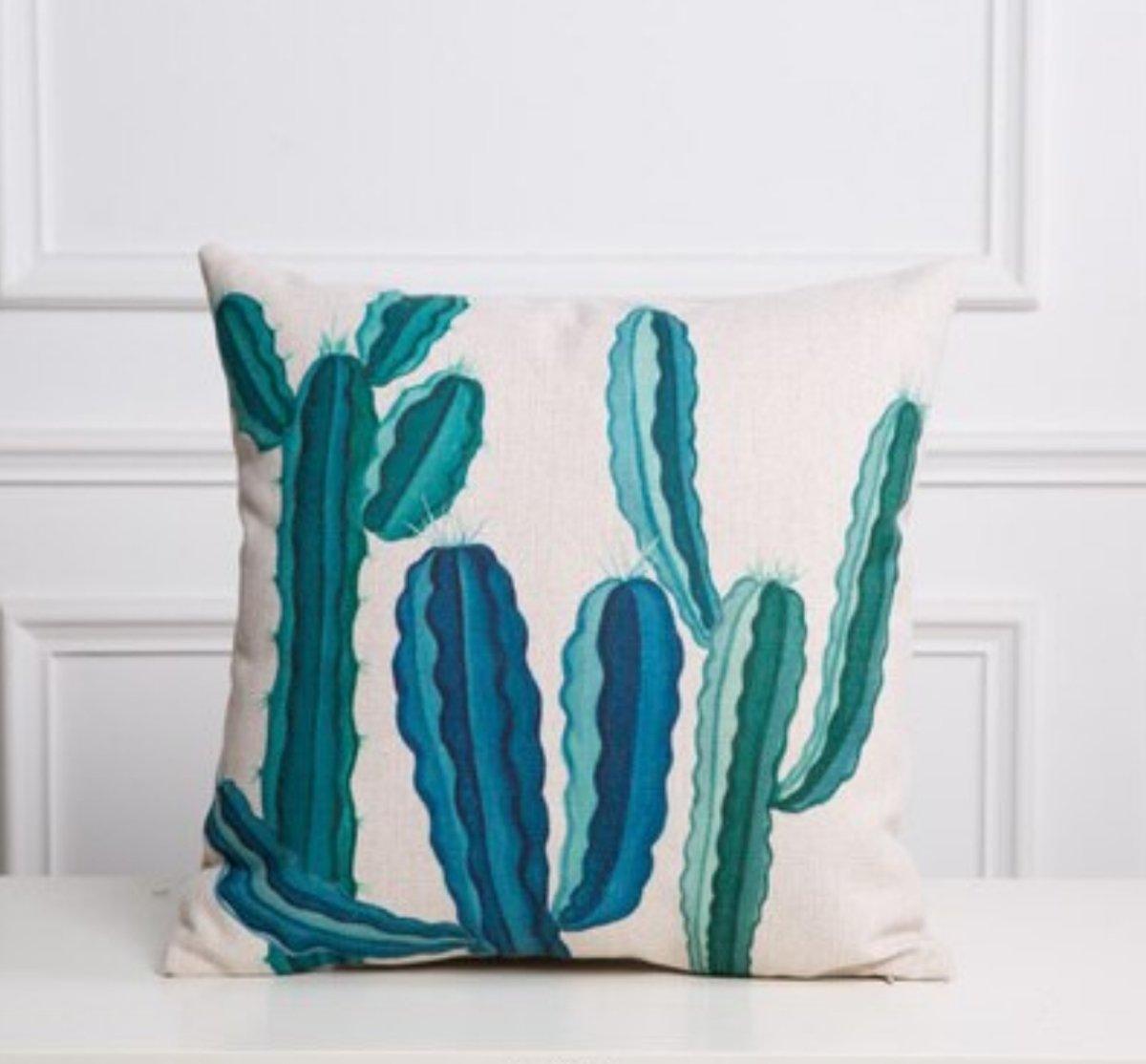 succulent throw pillows Succulent Home Decor